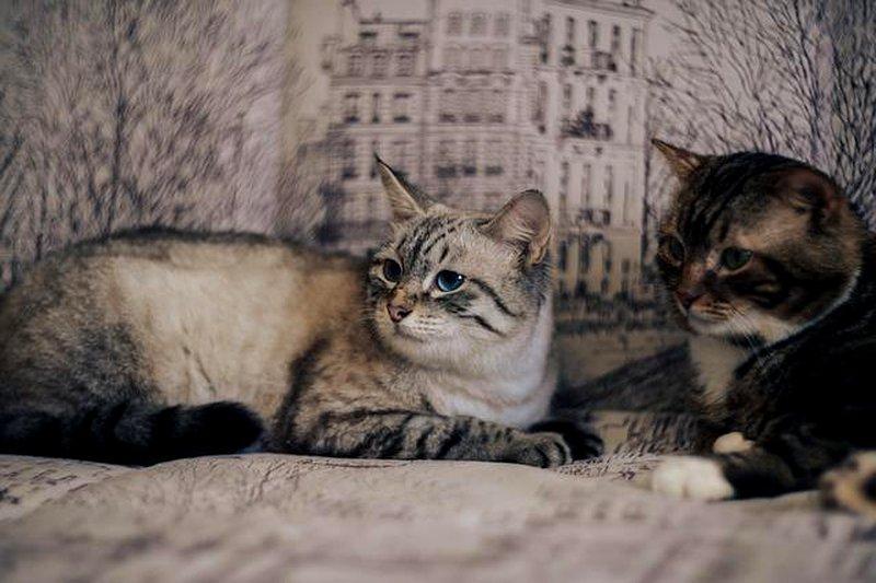 Dlaczego czas jest istotny przy umawianiu się na kolejną randkę?